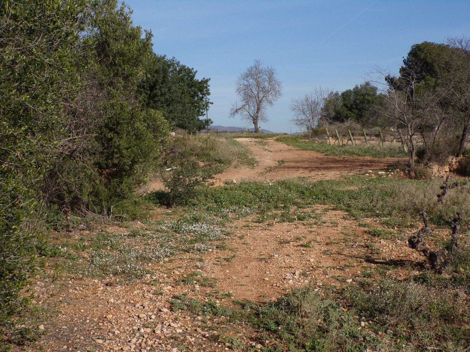 Land in Bellvey, Catalonia 12531530