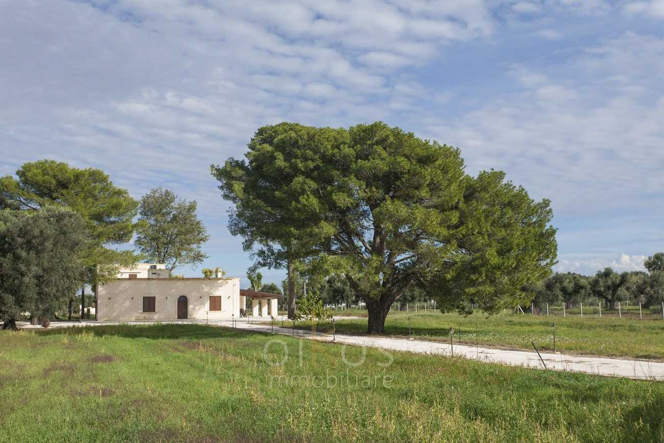 Casa nel Francavilla Fontana, Apulia 12532197