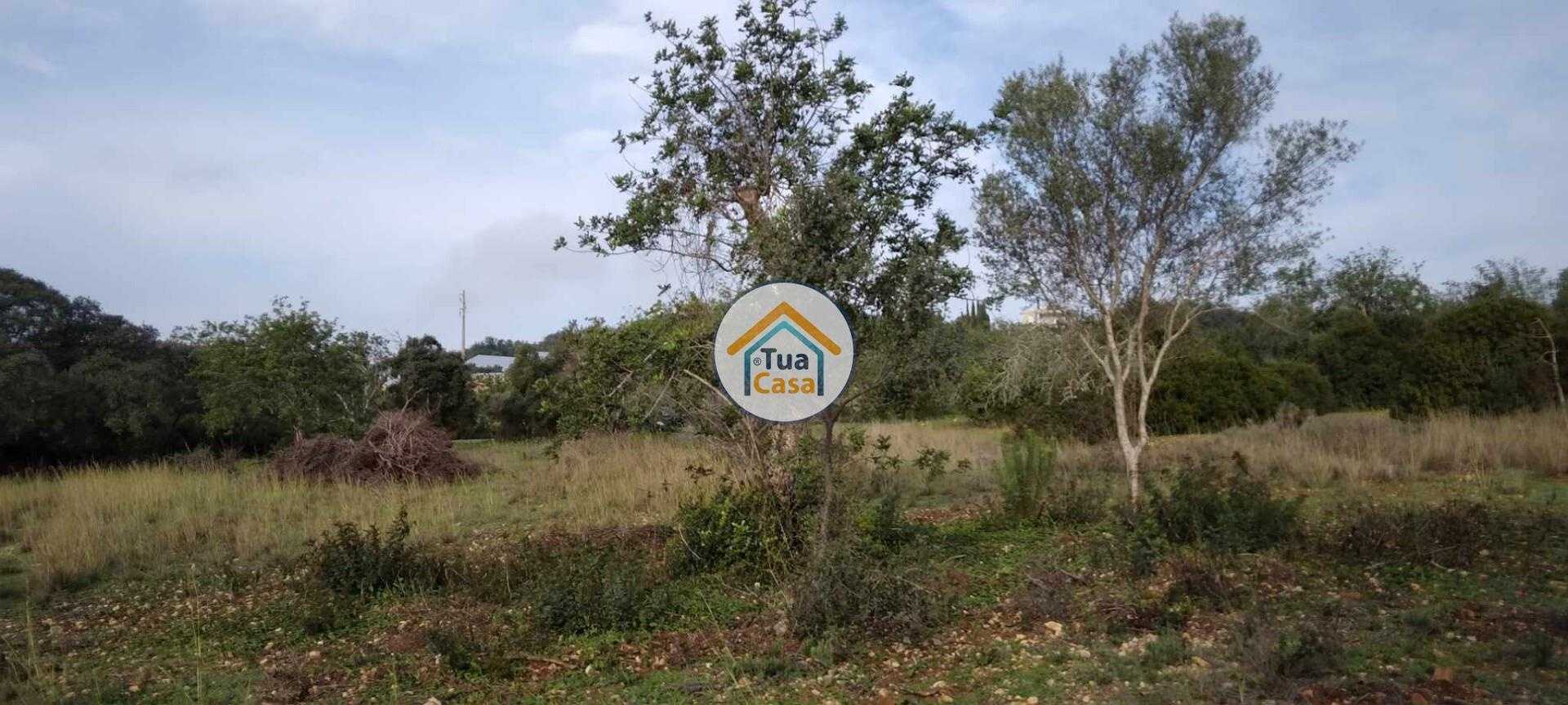 Tanah dalam Poco Novo, Faro 12534882