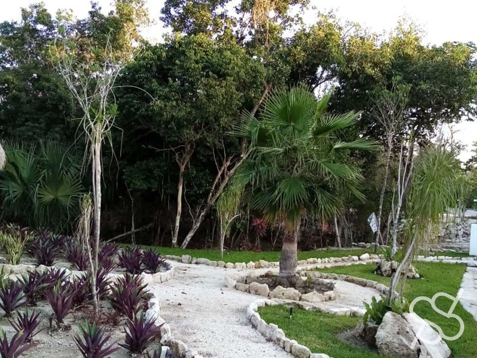 Land i Cancun, Quintana Roo 12536124