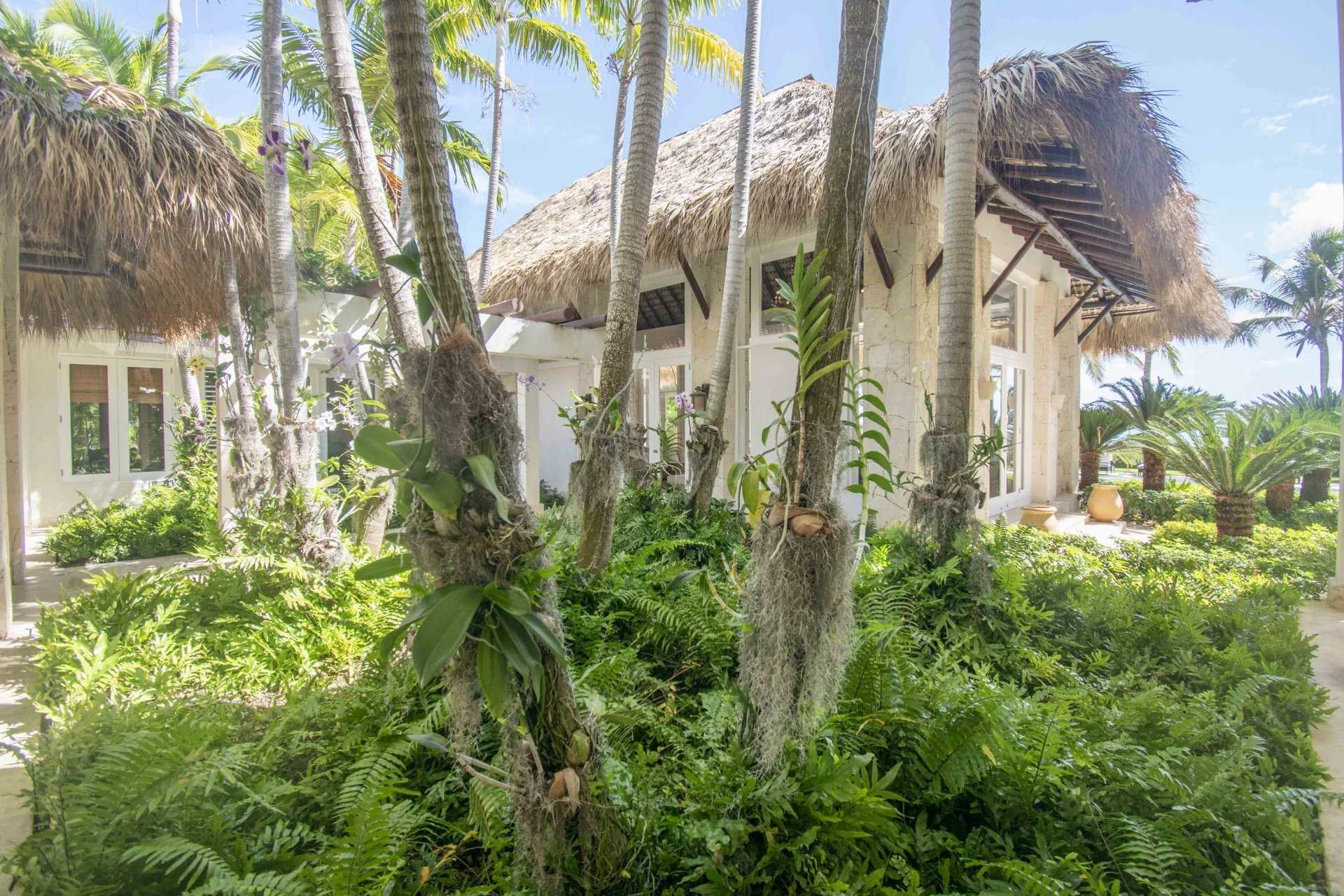 Dom w Punta Cana, null 12537065