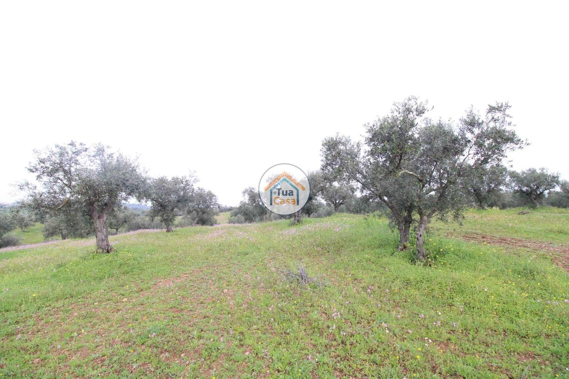 Land in Alqueva, Evora 12540856