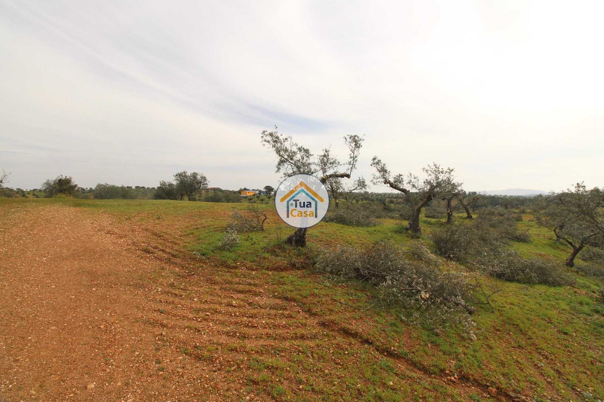 Tanah dalam Alqueva, Evora 12540857
