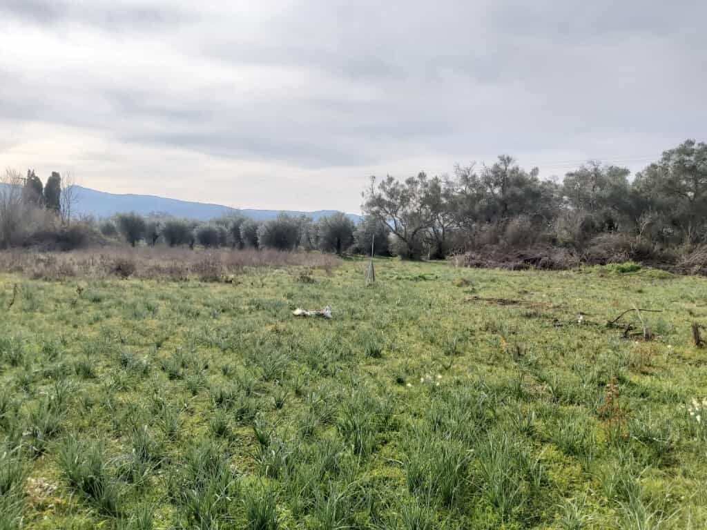 Land in Acharavi, Ionia Nisia 12541995