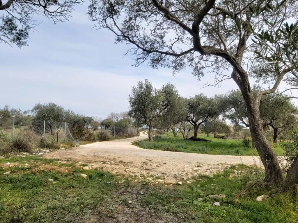 Land in Acharavi, Ionia Nisia 12541997