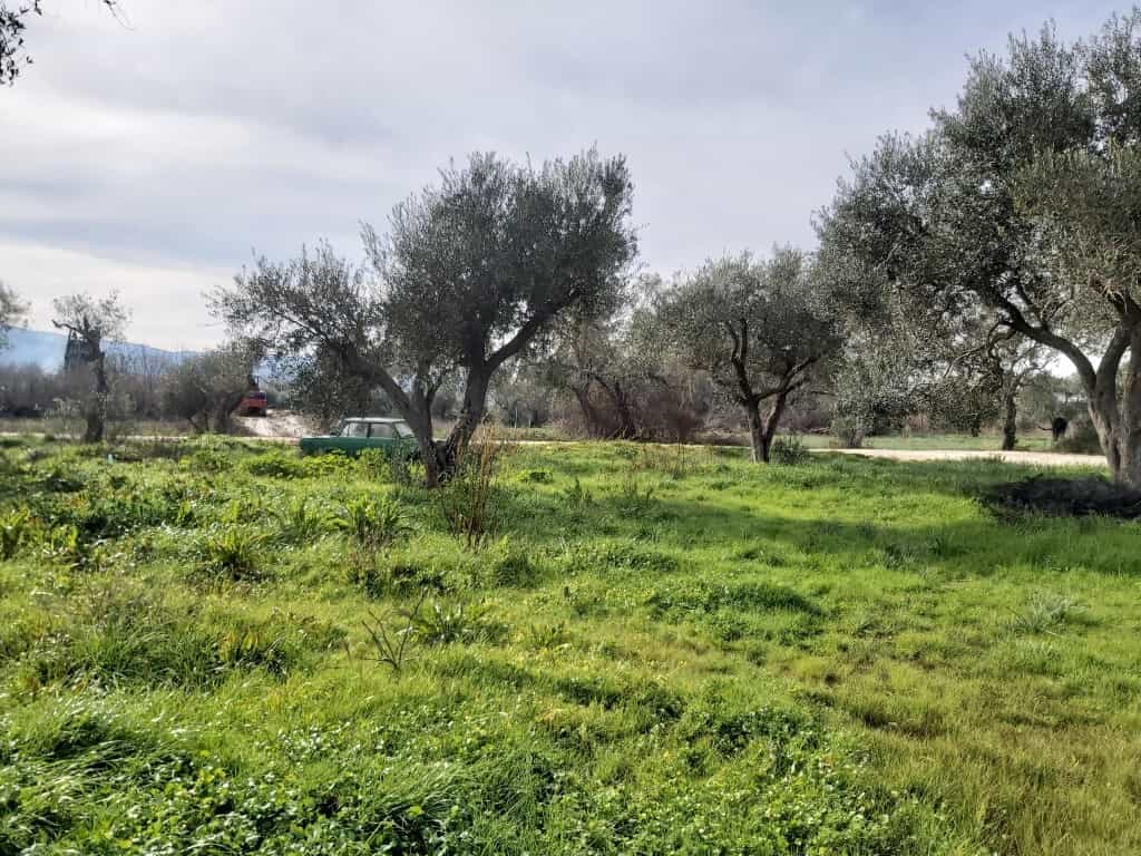 Land in Acharavi, Ionia Nisia 12541998