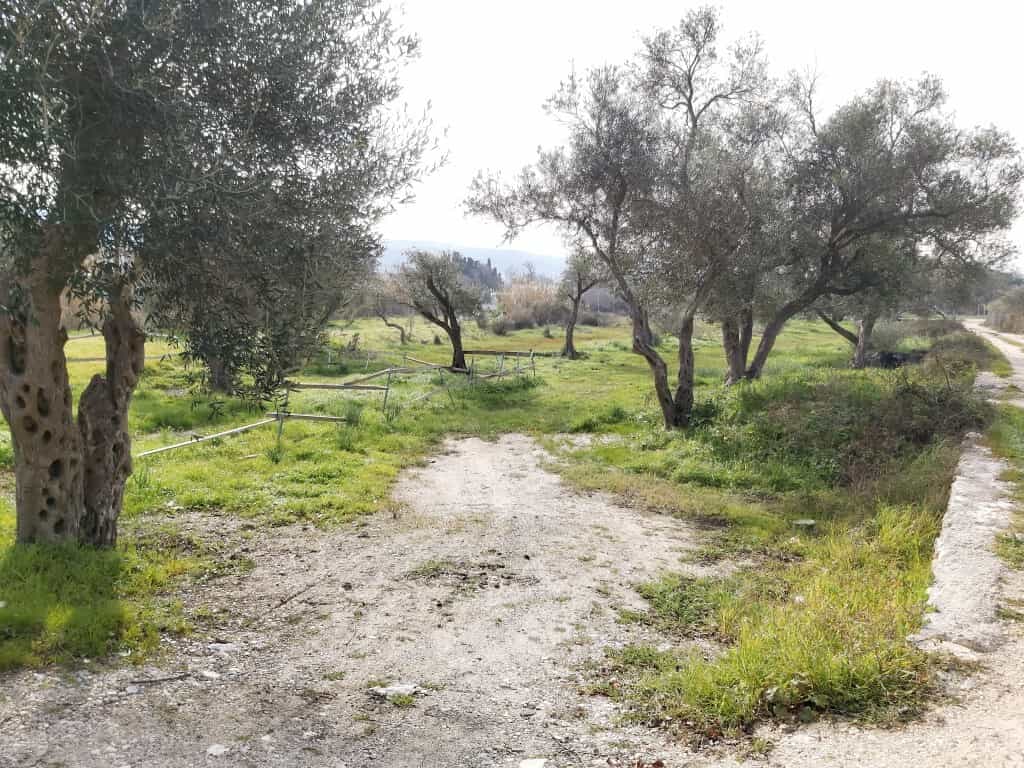 Land in Acharavi, Ionia Nisia 12541998