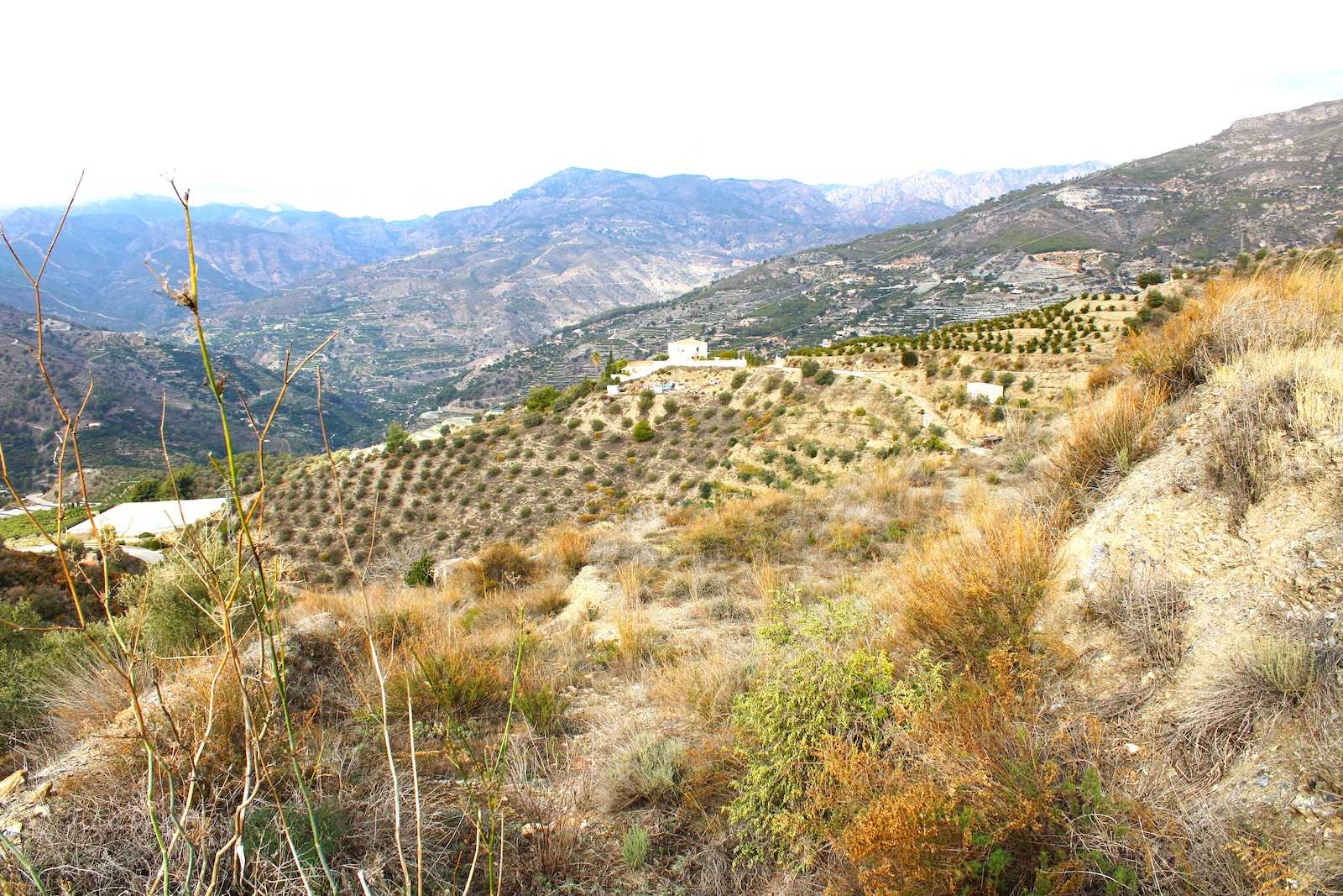 Land in Jete, Andalucía 12545857