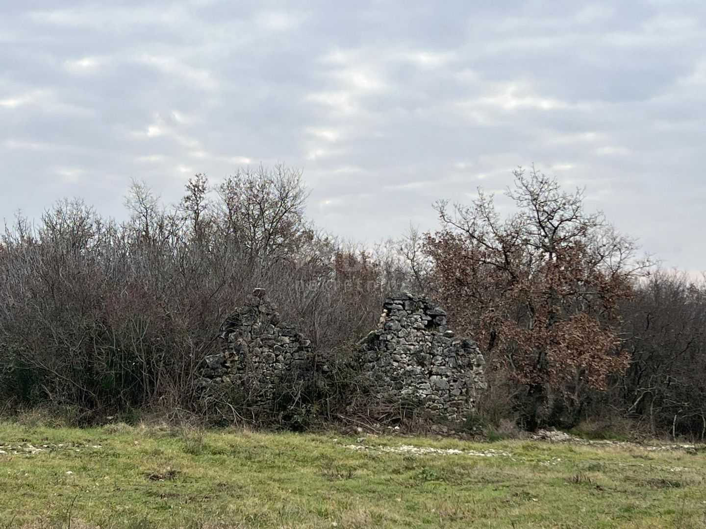 भूमि में Brtonigla, Istarska Zupanija 12547988