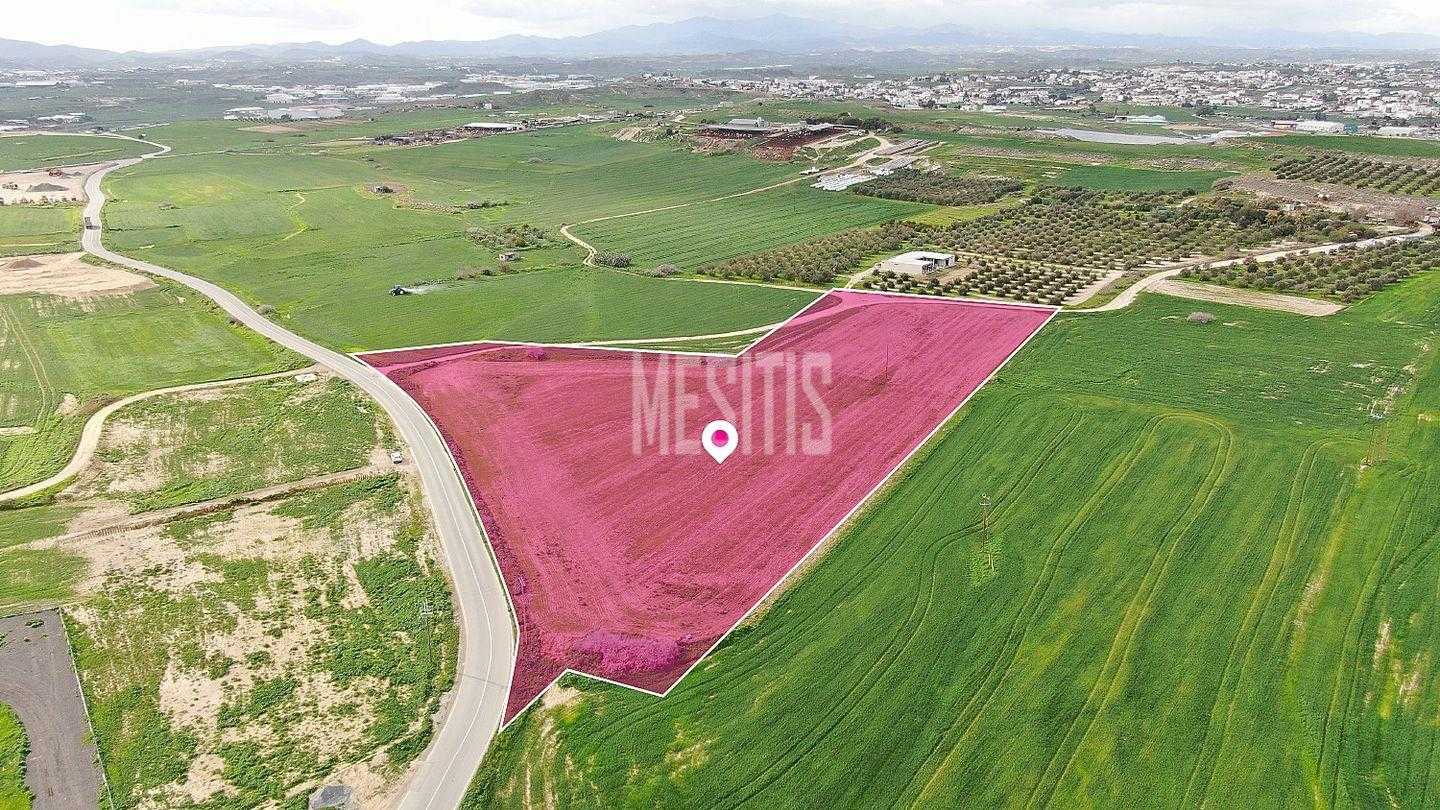 Tanah dalam Dali, Nicosia 12548156