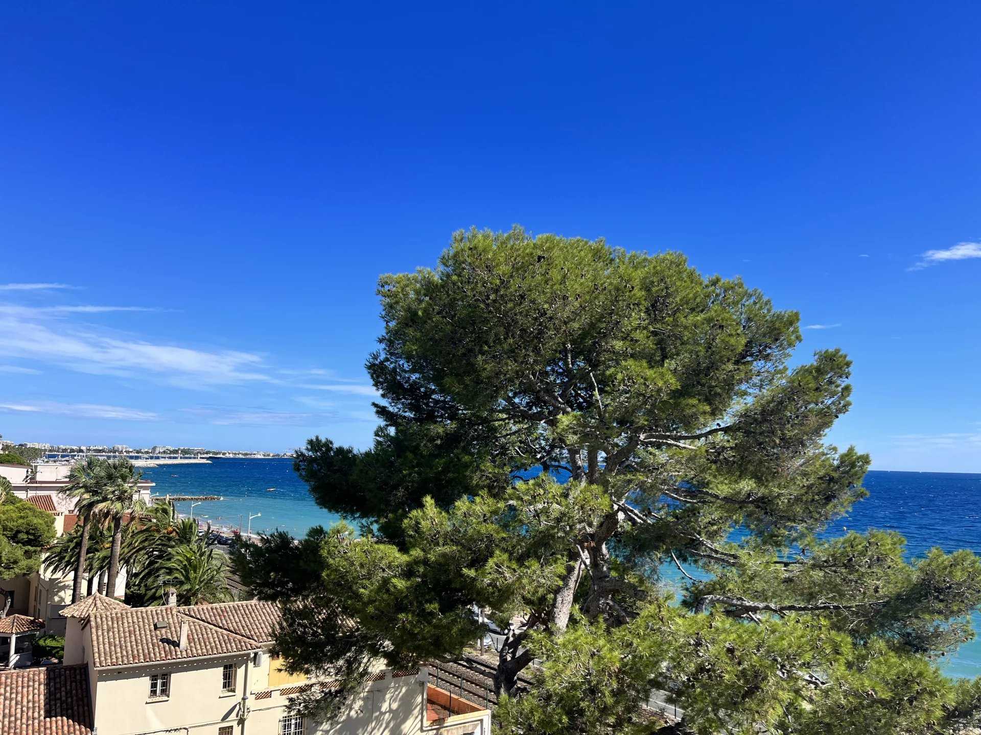 Ejerlejlighed i Cannes, Provence-Alpes-Cote d'Azur 12548721