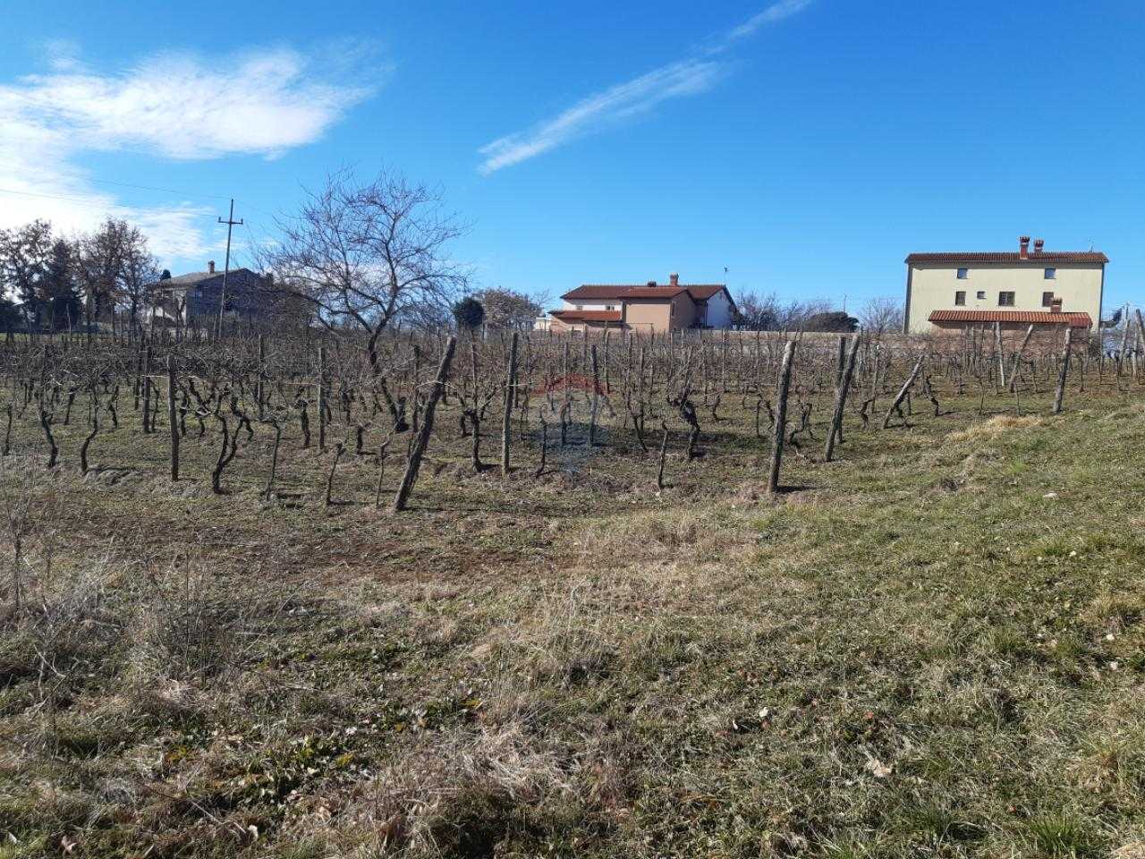 Terre dans Karojba, Istarska Zupanija 12558422
