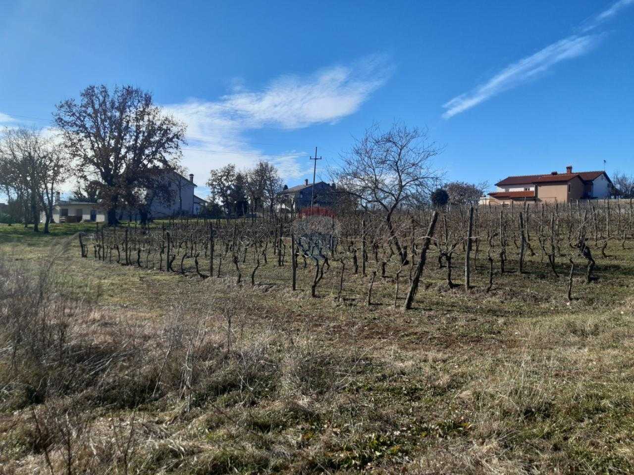 Γη σε Karojba, Istarska Zupanija 12558422