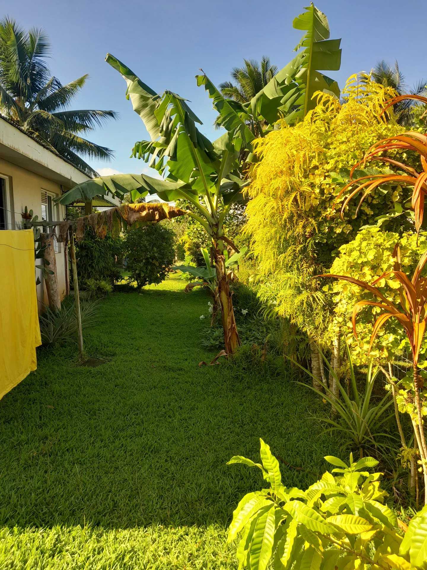 жилой дом в Taravao, Îles du Vent 12558719