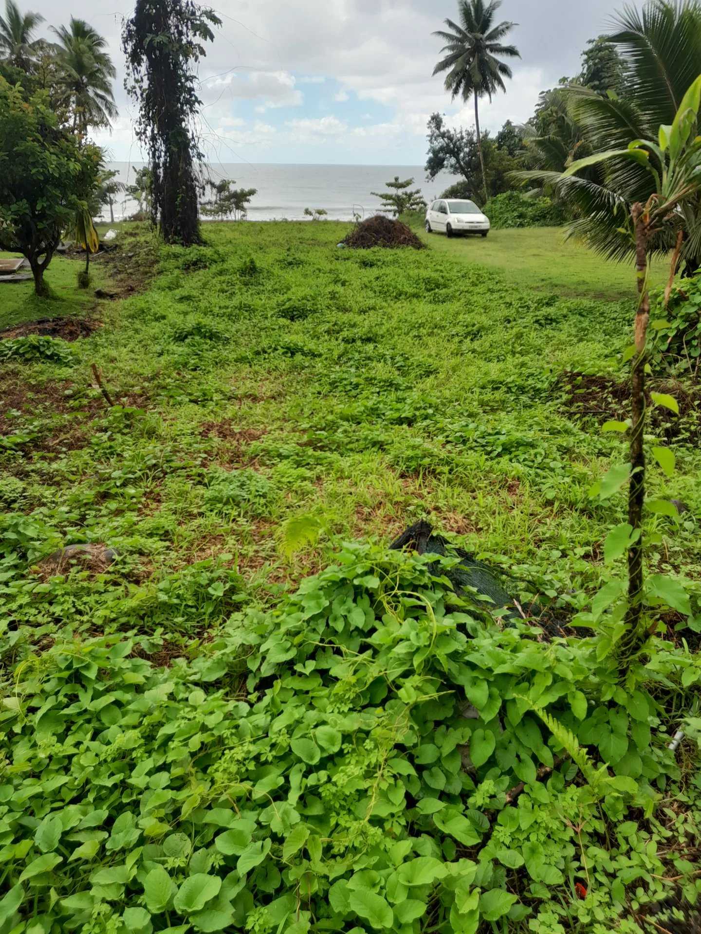 Tanah dalam Papeete, Îles du Vent 12558731