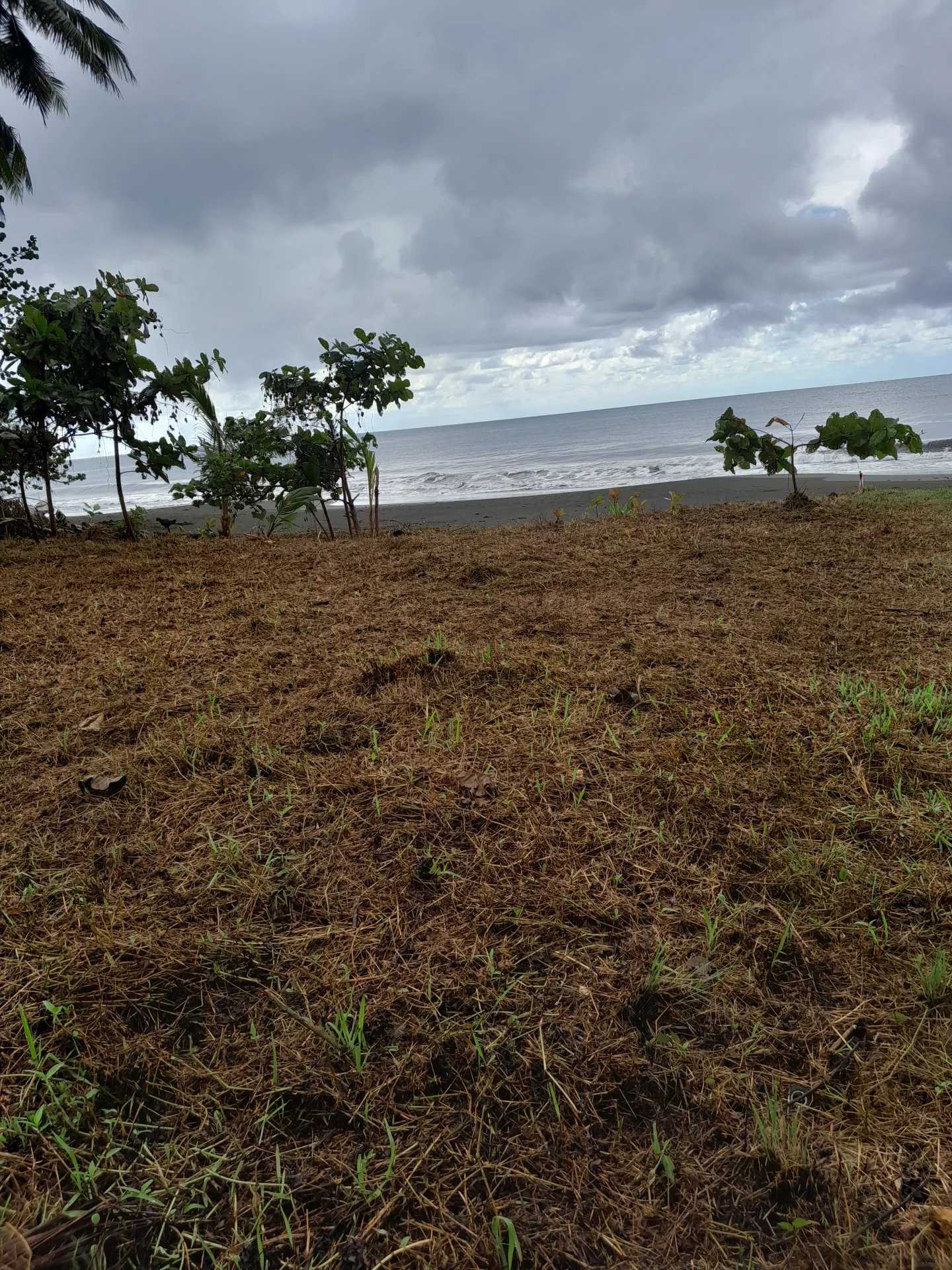 Tanah dalam Papeete, Îles du Vent 12558731