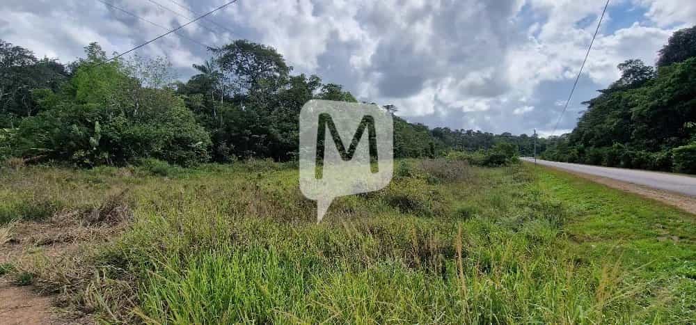 Land in Montsinéry-Tonnegrande, Guyane 12559756