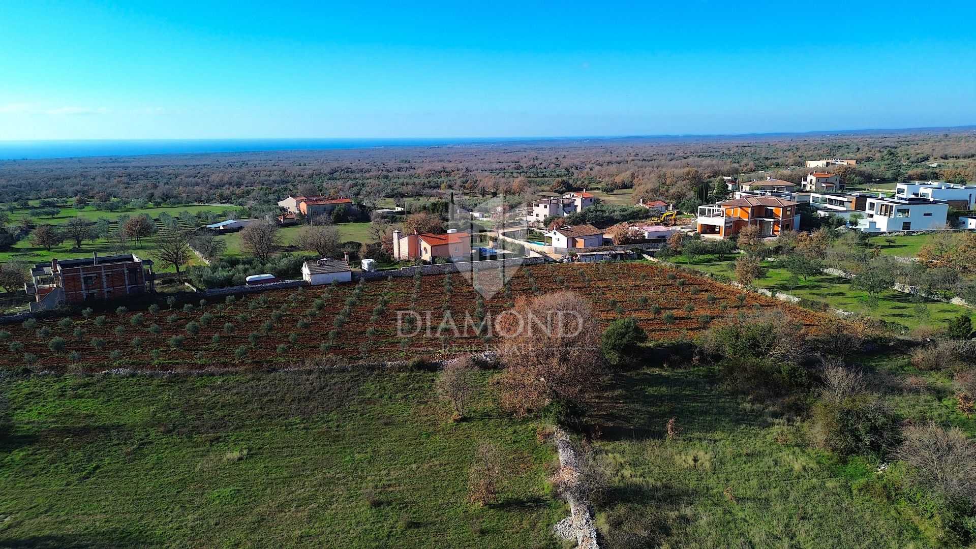 Land in Vodnjan, Istria County 12574737