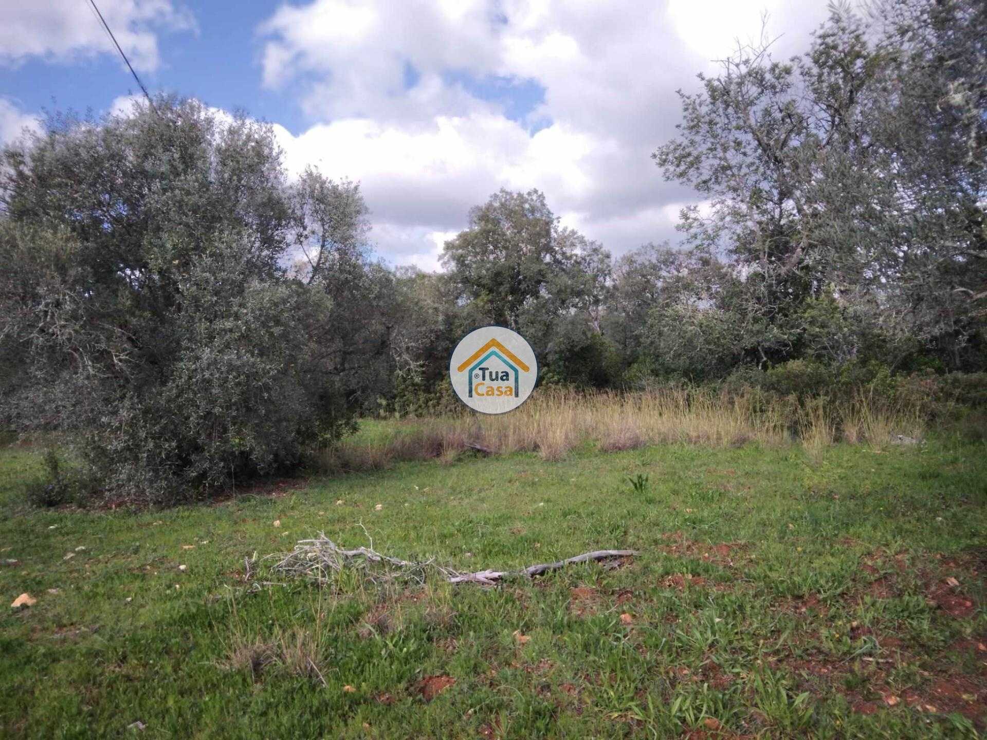 Land in , Faro District 12585382