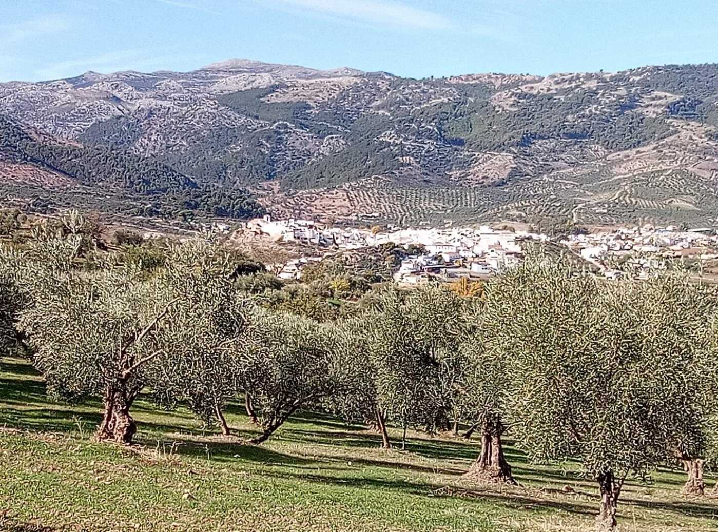 Andere in Yunquera, Andalusië 12585817