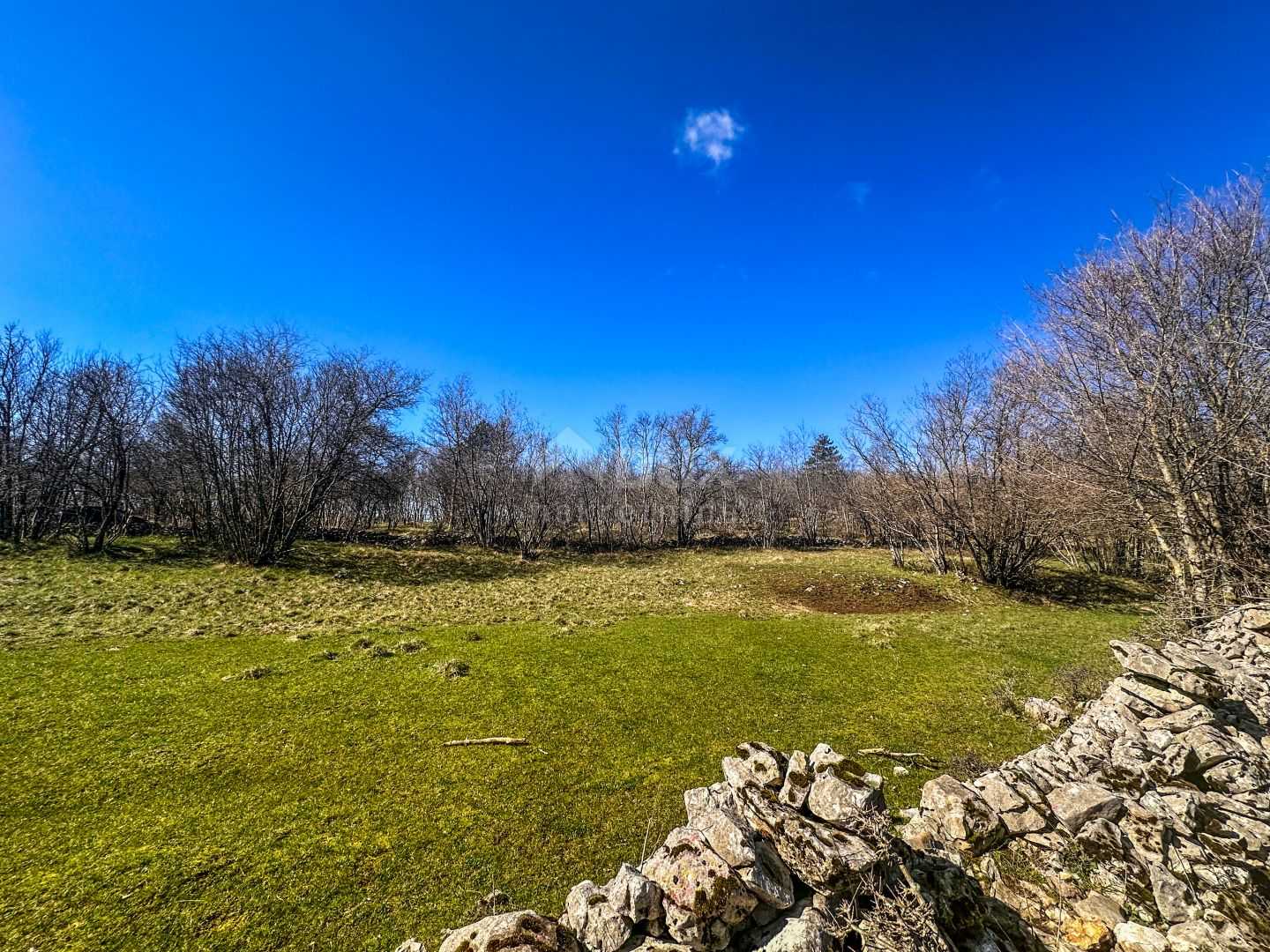 Land i Klana, Primorsko-Goranska Zupanija 12591999