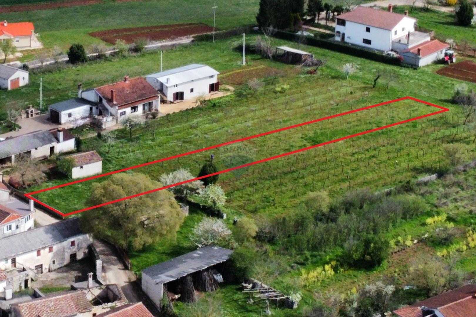 Γη σε Zminj, Istarska Zupanija 12605223