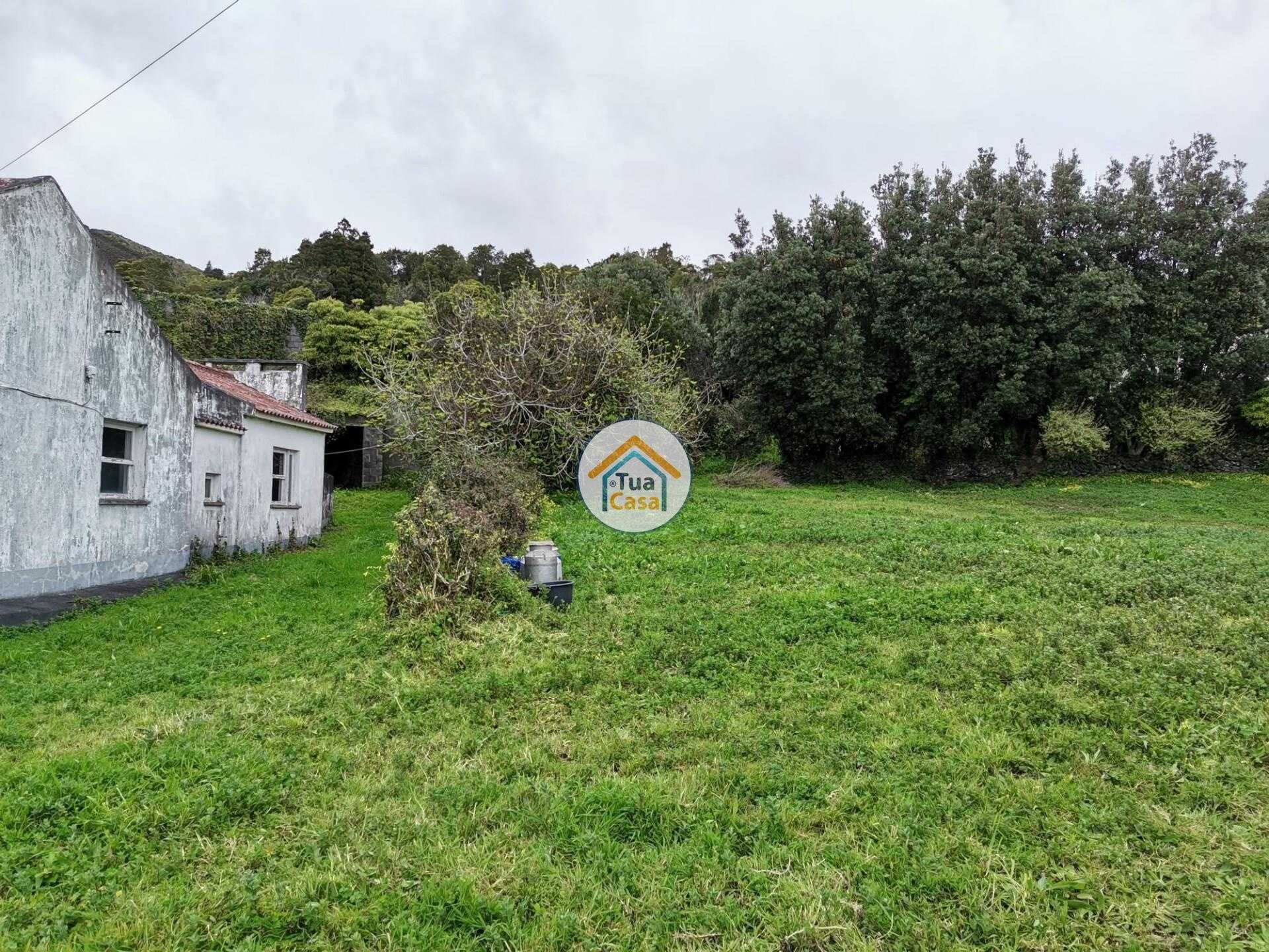 House in Calheta, Azores 12605366