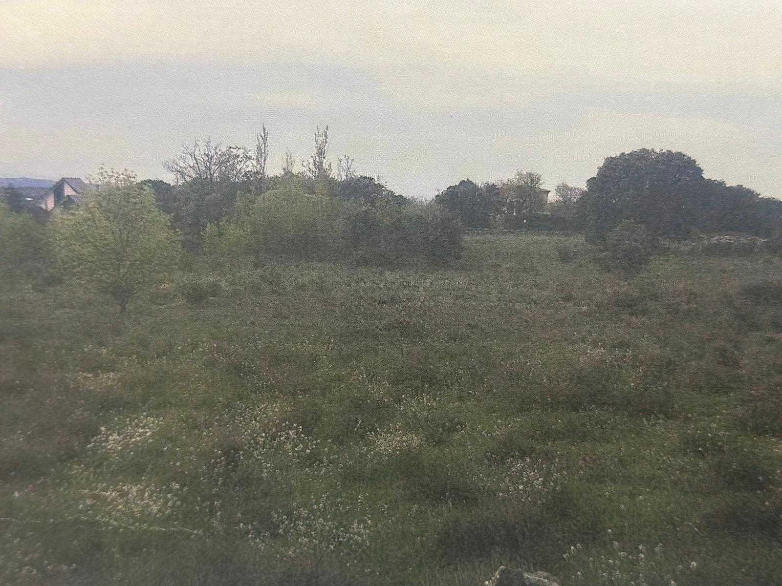 Terre dans La Cabrera, Madrid 12610967