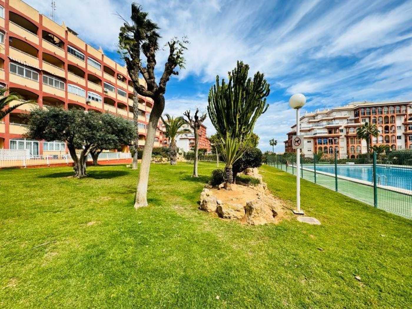 Condominium in Torrevieja, Valencia 12618142