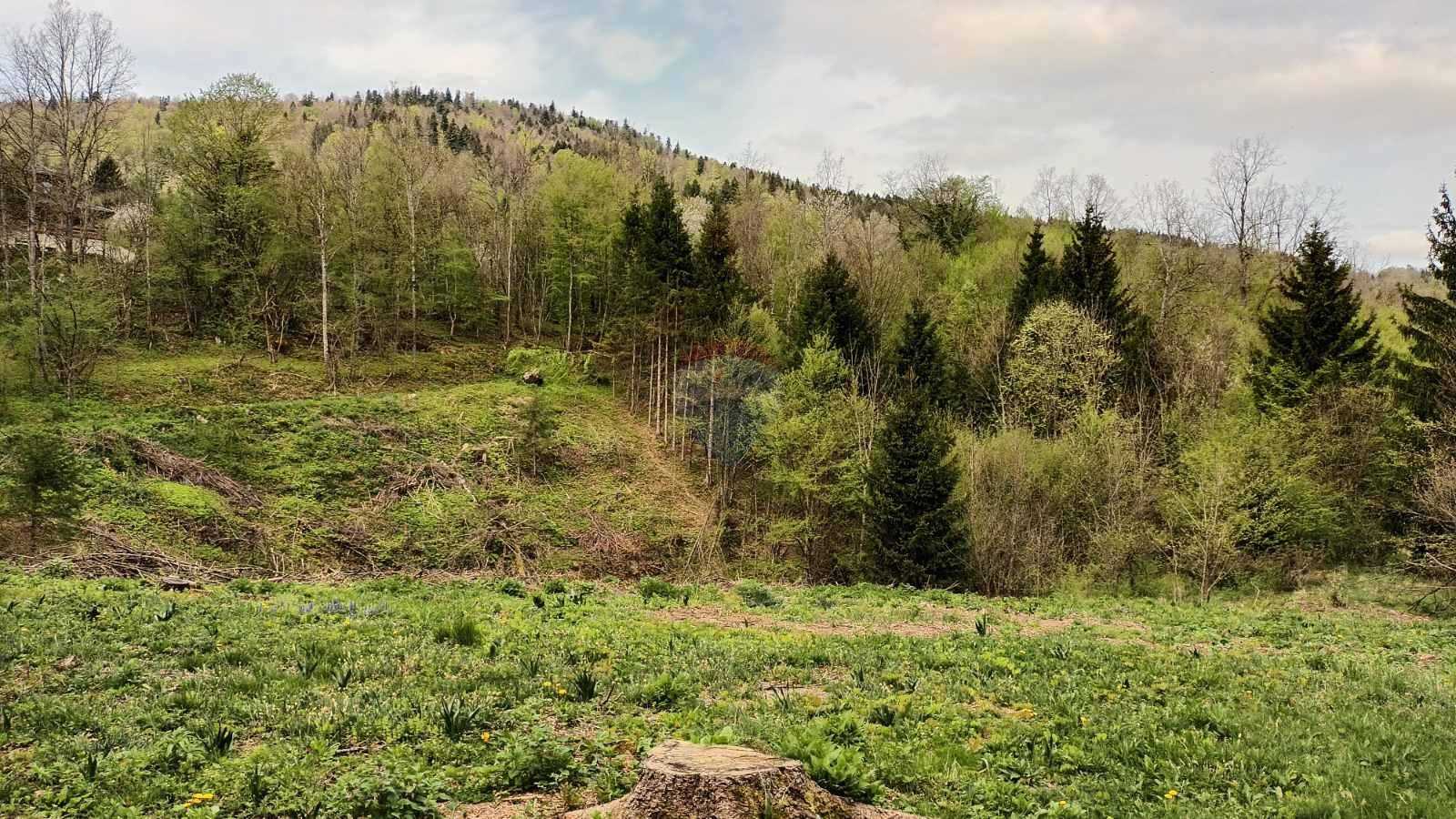 Terre dans Vrbovsko, Primorsko-Goranska Zupanija 12624322