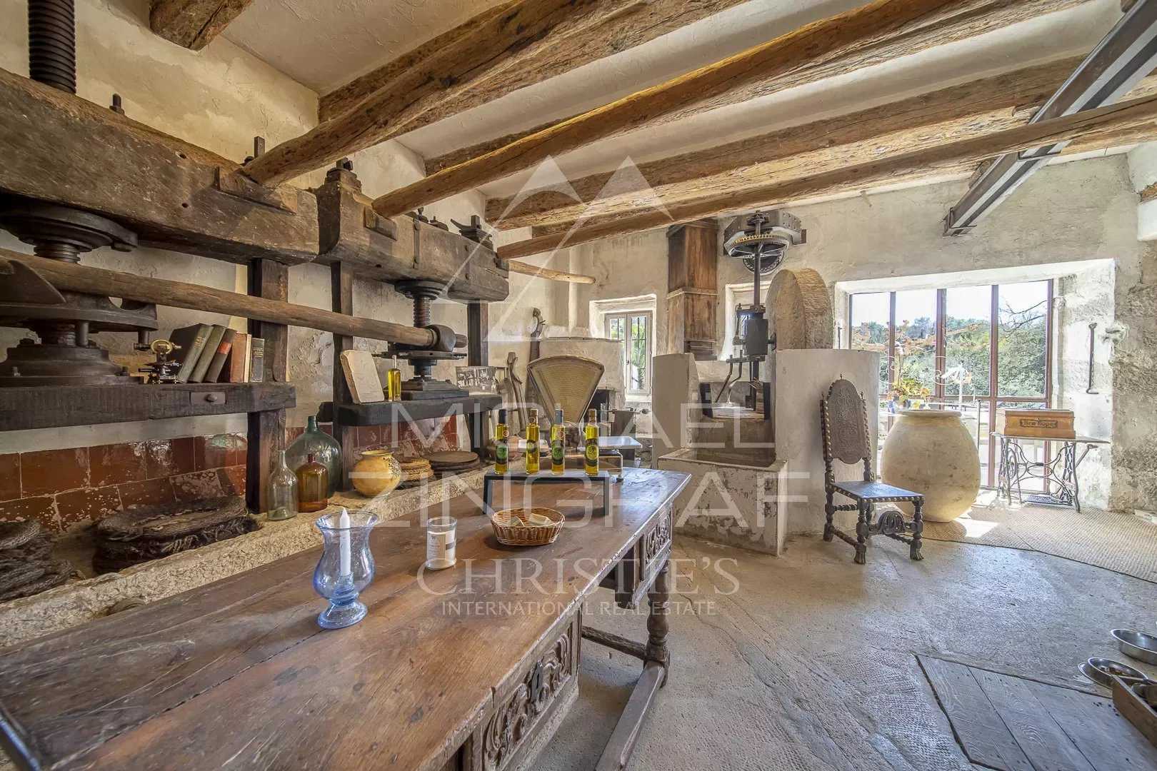 rumah dalam rumput, Provence-Alpes-Côte d'Azur 12628504