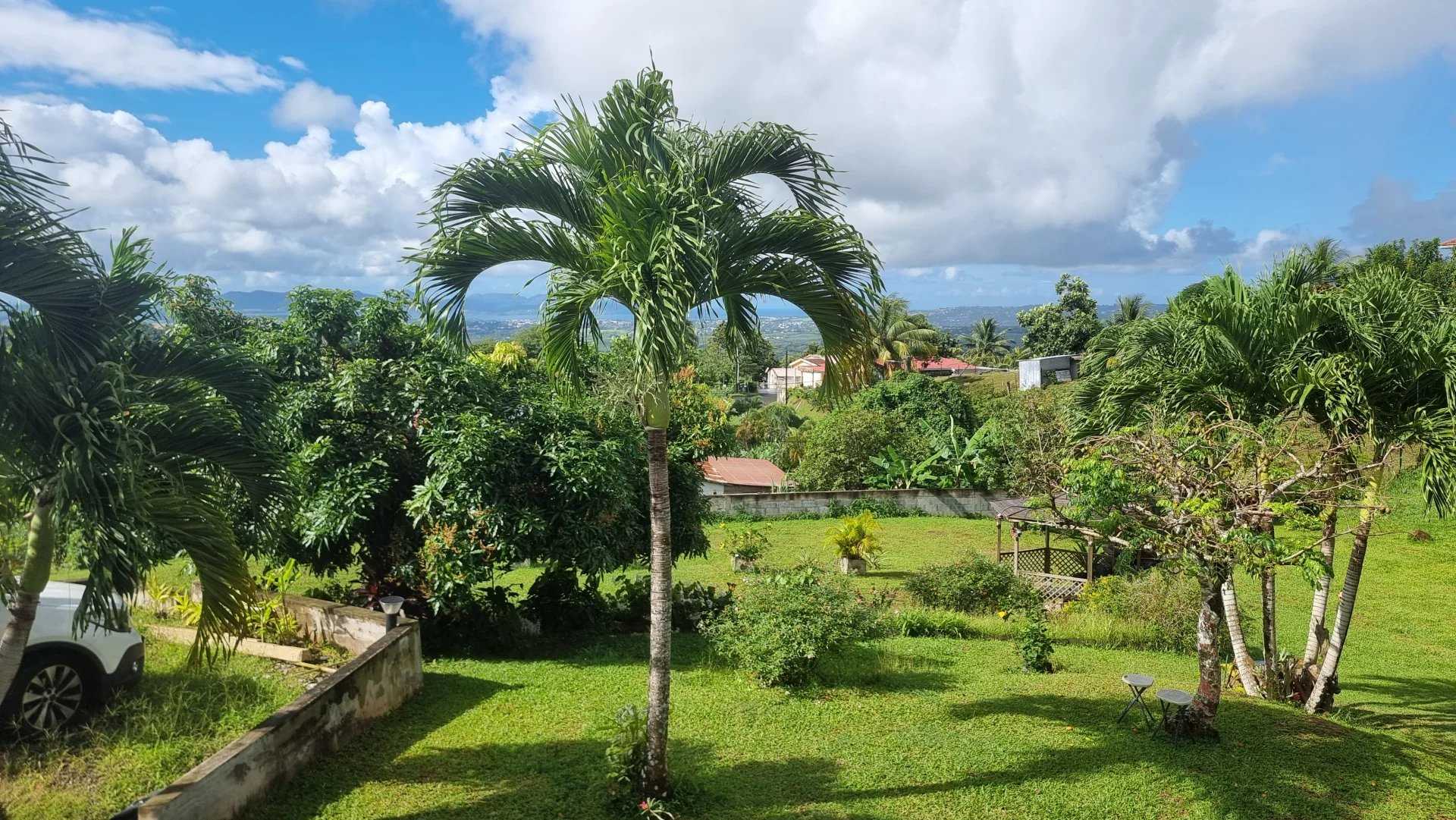 loger dans Gros-Morne, Martinique 12629135