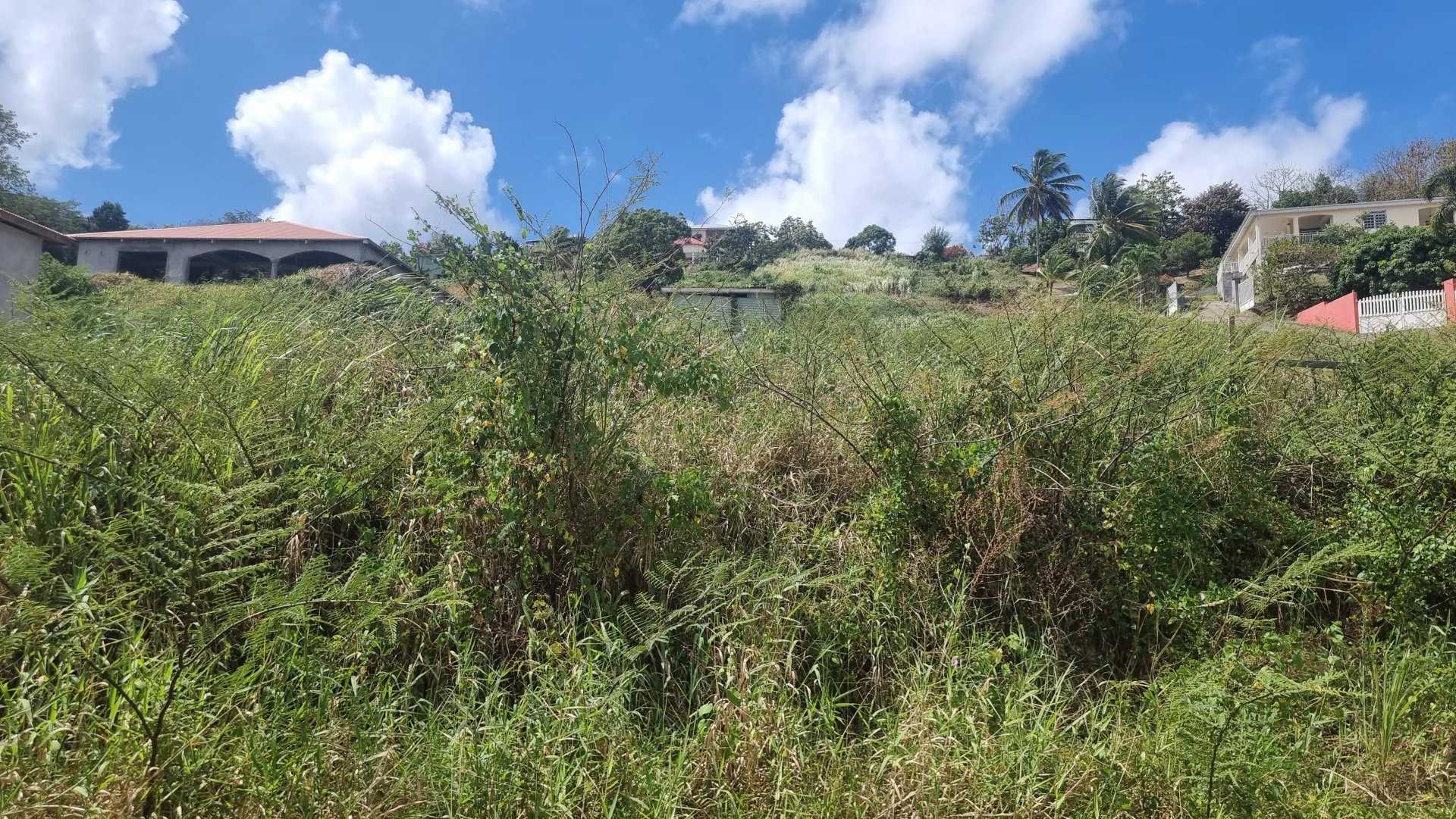 ארץ ב Rivière-Salée, Martinique 12629138