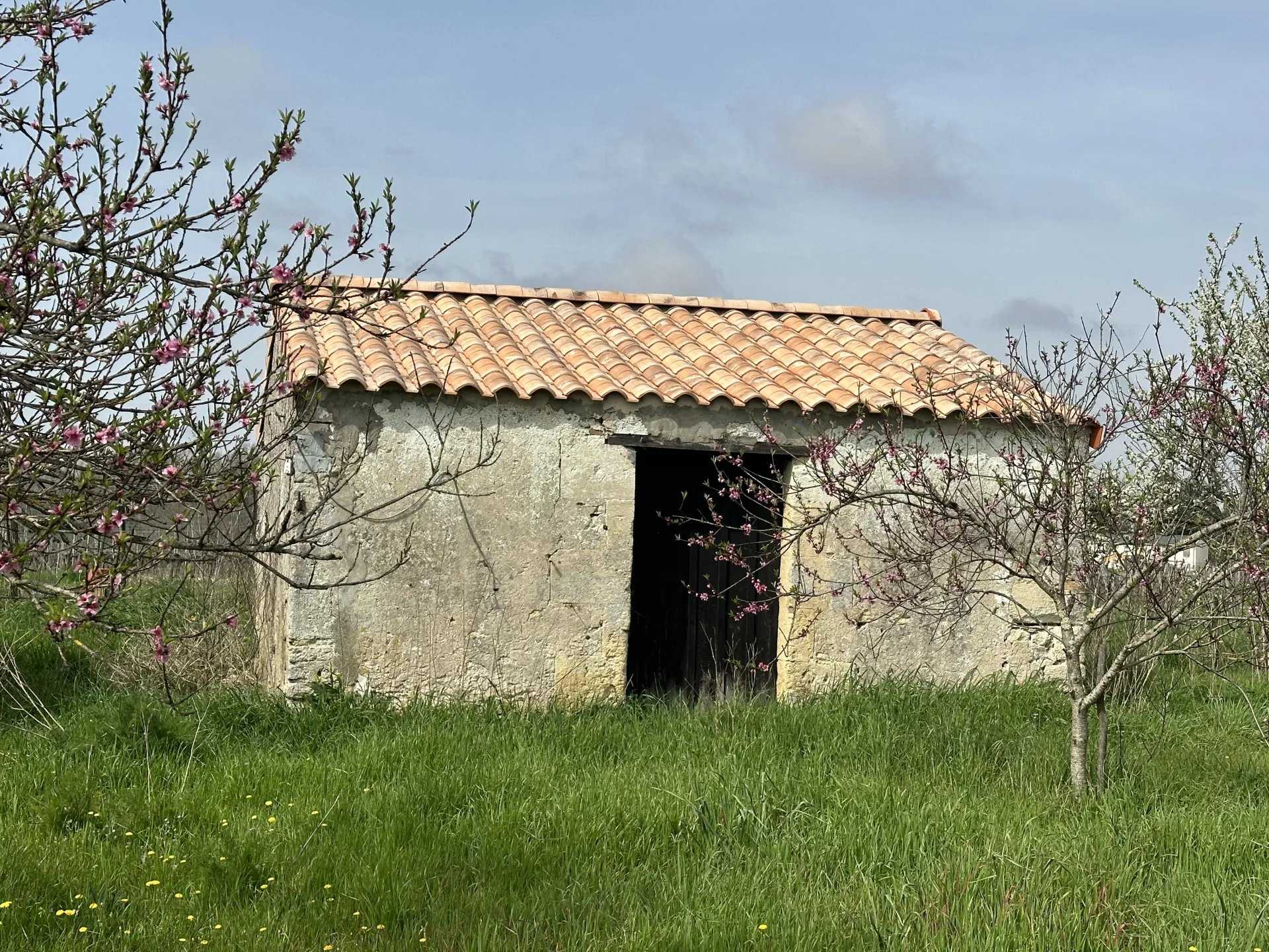 House in Braud-et-Saint-Louis, Nouvelle-Aquitaine 12629562