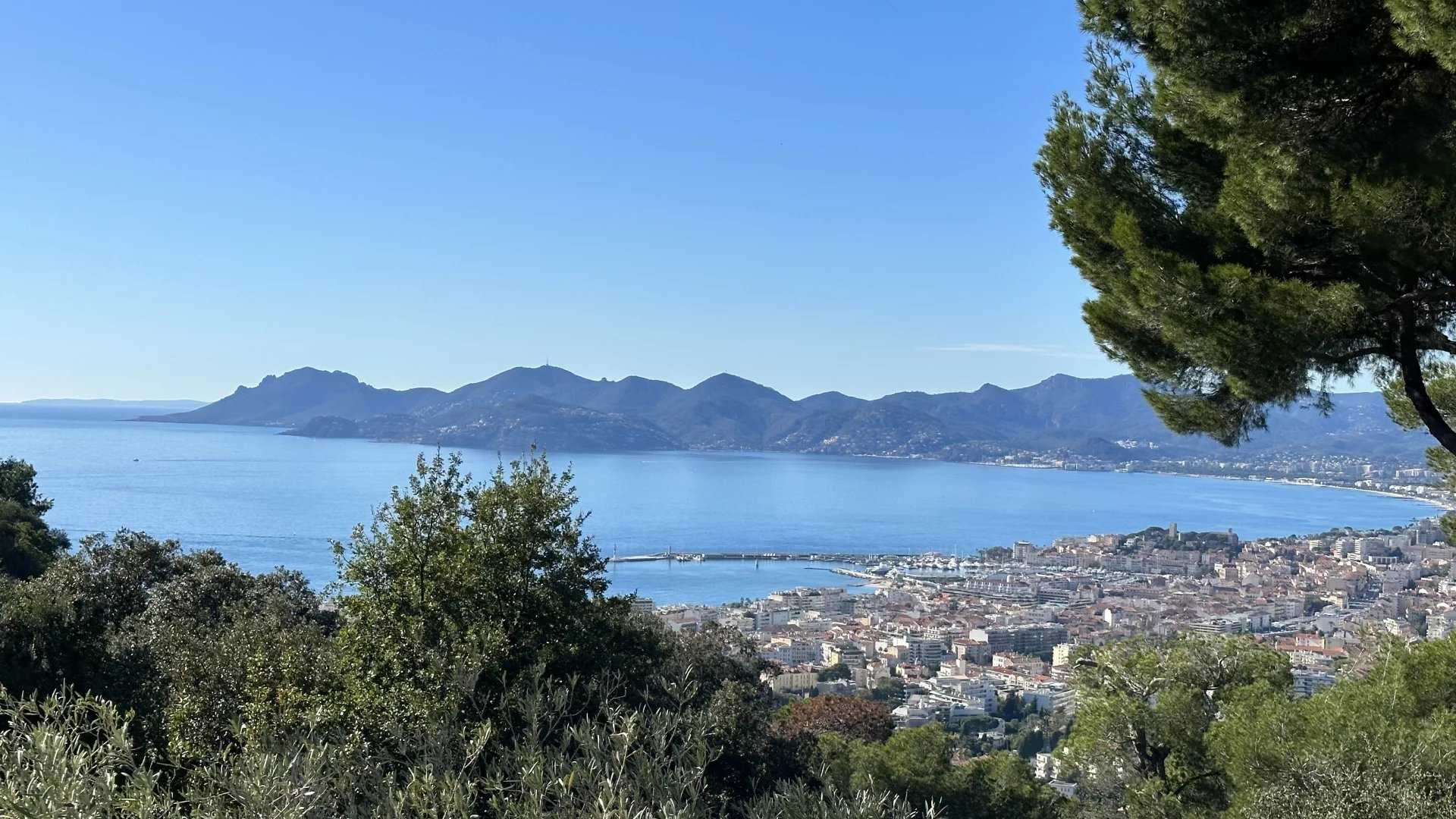 loger dans Cannes, Provence-Alpes-Côte d'Azur 12632919