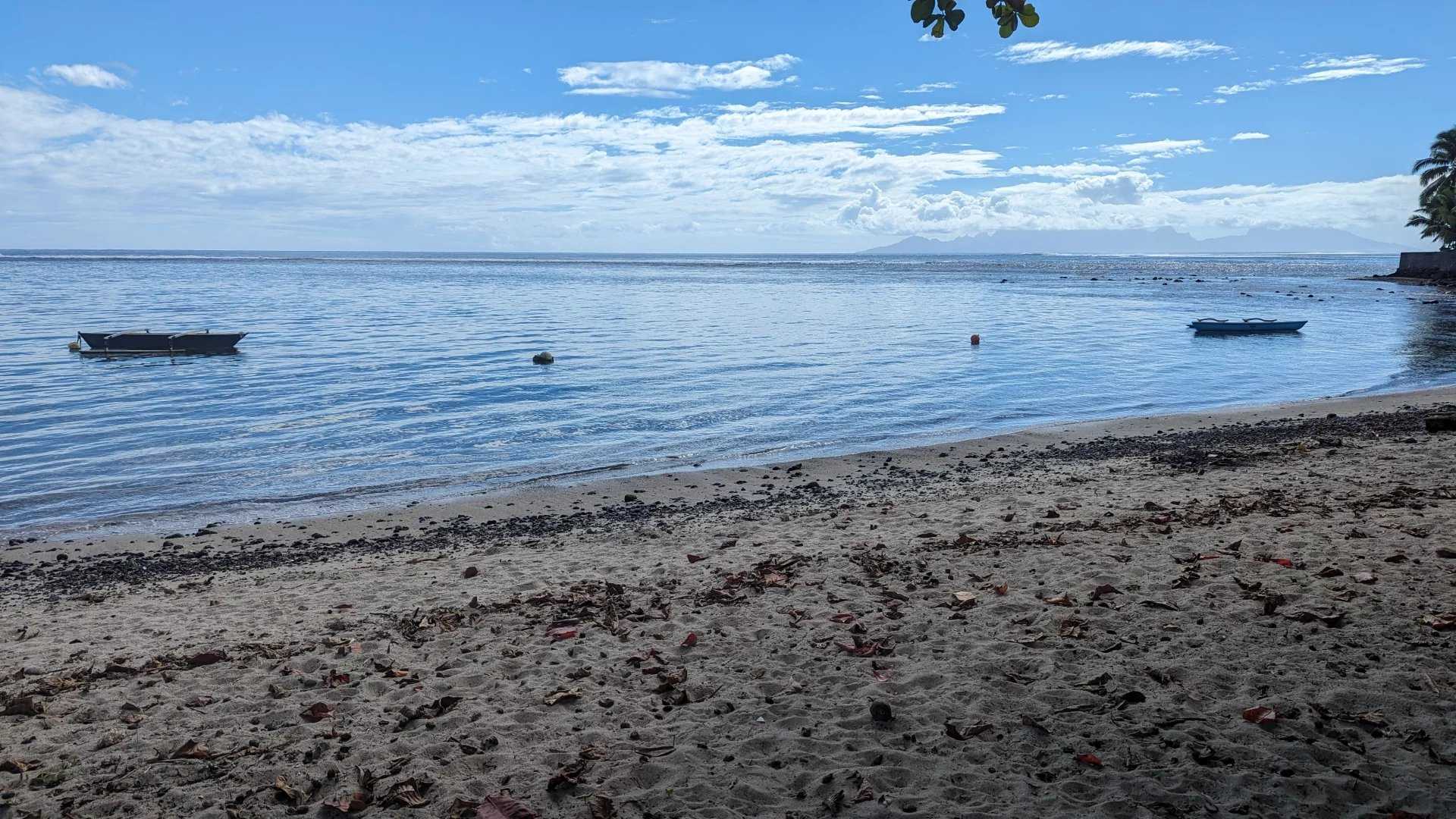 קוֹנדוֹמִינִיוֹן ב Paea, Îles du Vent 12633307