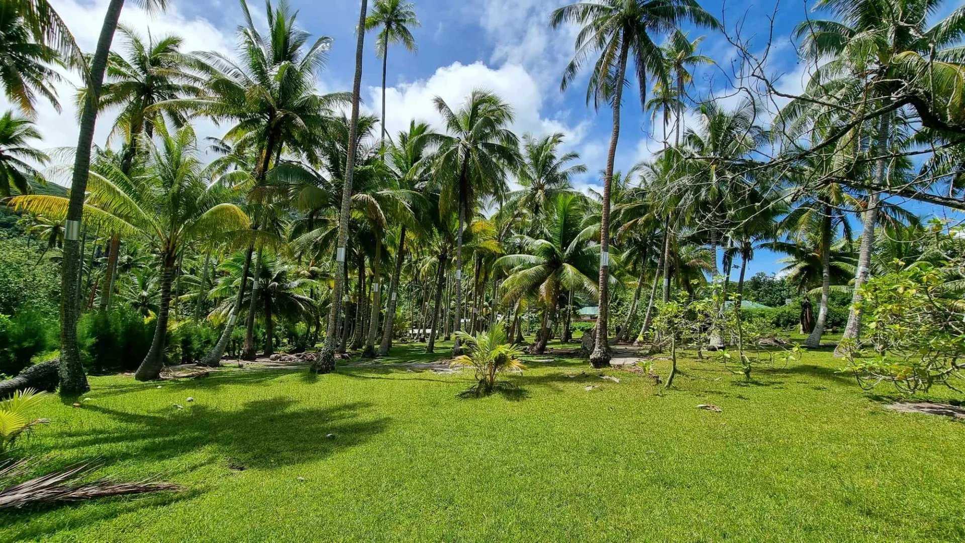 Land in Papeete, Îles du Vent 12633316