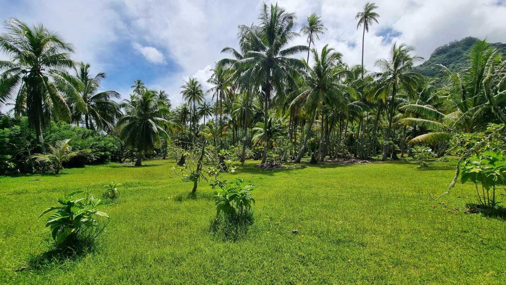 Land in Papeete, Iles du Vent 12633316