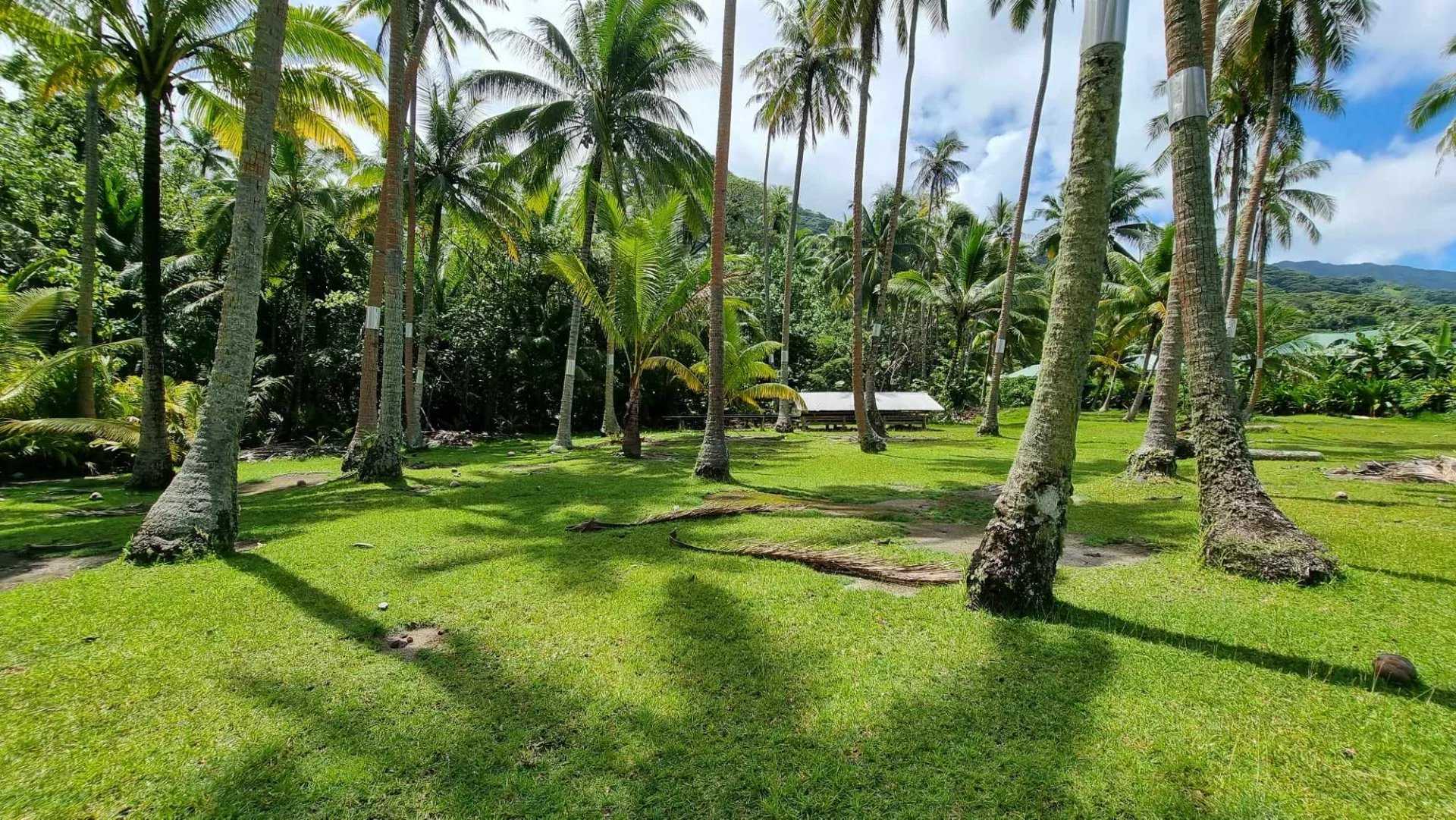 Tanah dalam Papeete, Îles du Vent 12633318