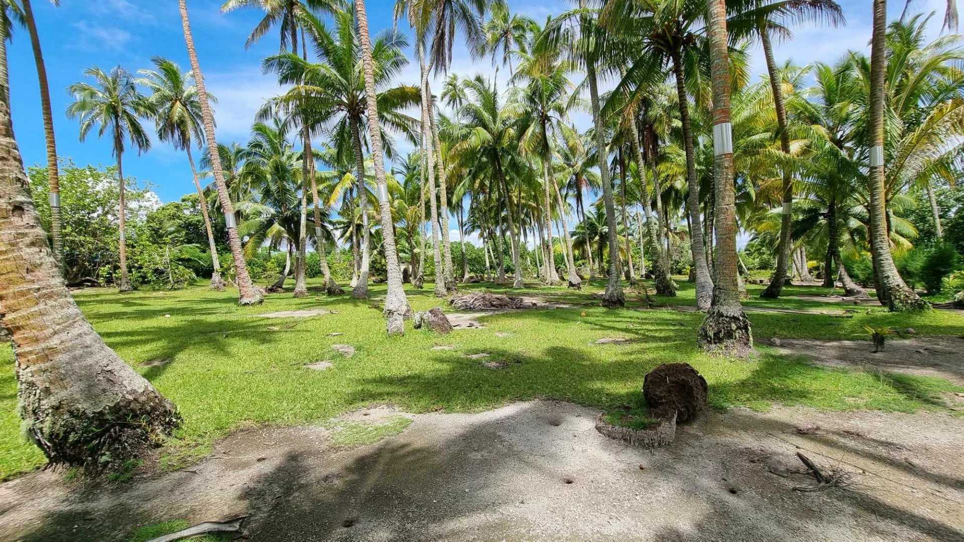Tanah di Papeete, Îles du Vent 12633319
