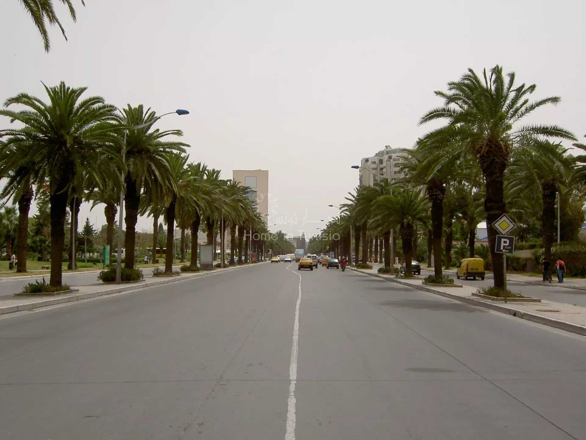 الأرض في El Haouach, Tunis 12635479