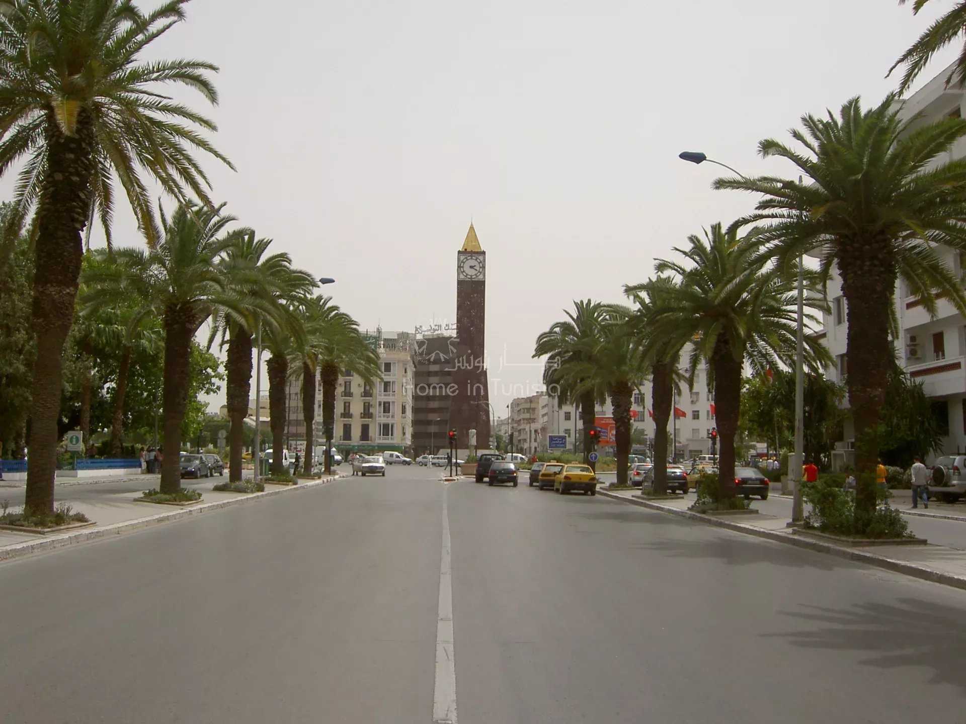 Maa sisään Tunis, La Marsa 12635479