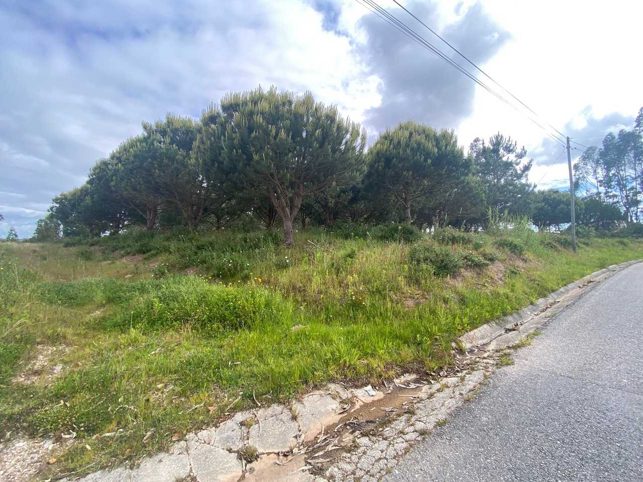 Земля в Caldas da Rainha, Leiria 12636695