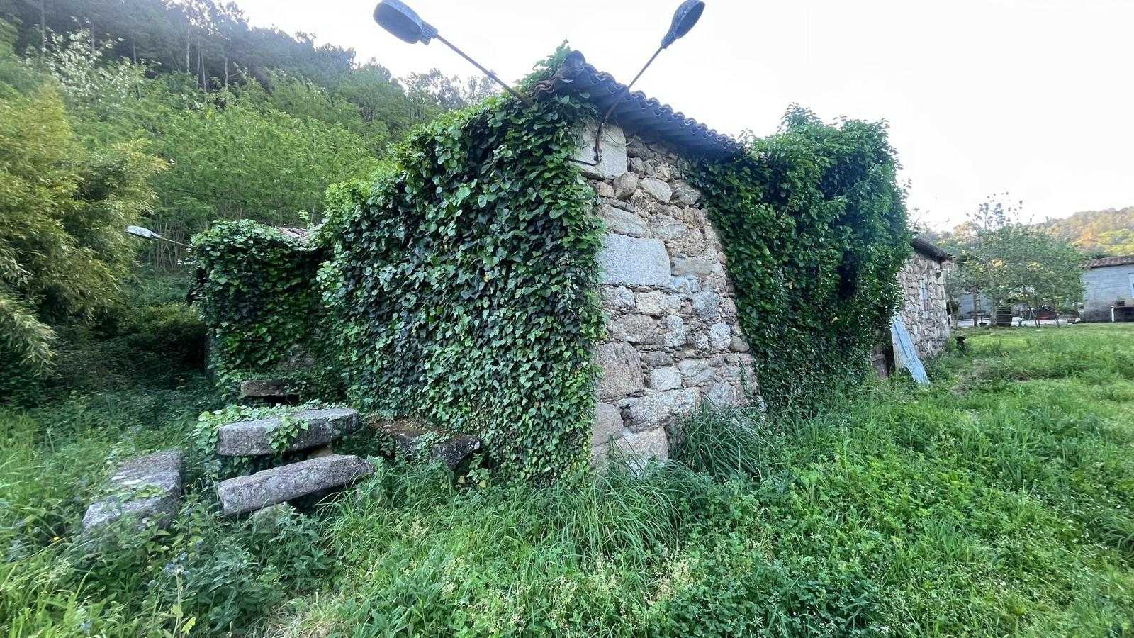 Land in Boqueijon, Galicië 12638831