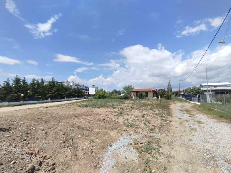 Land in Nea Flogita, Kentriki Makedonia 12639867