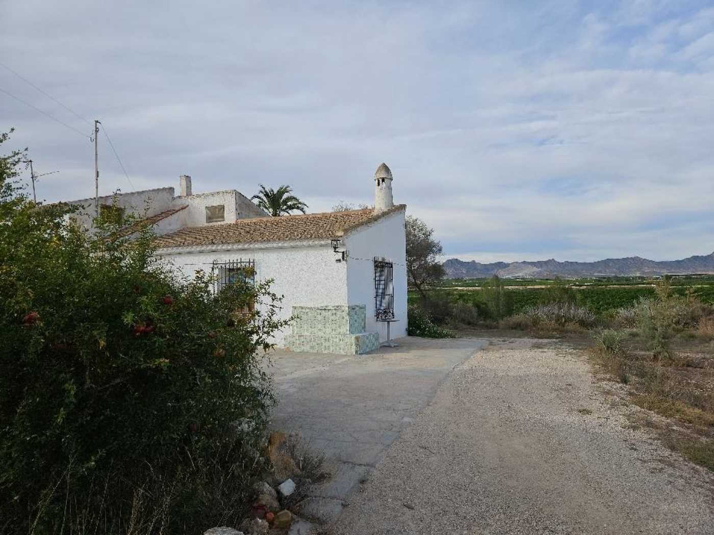 Hus i Benferri, Comunidad Valenciana 12640721