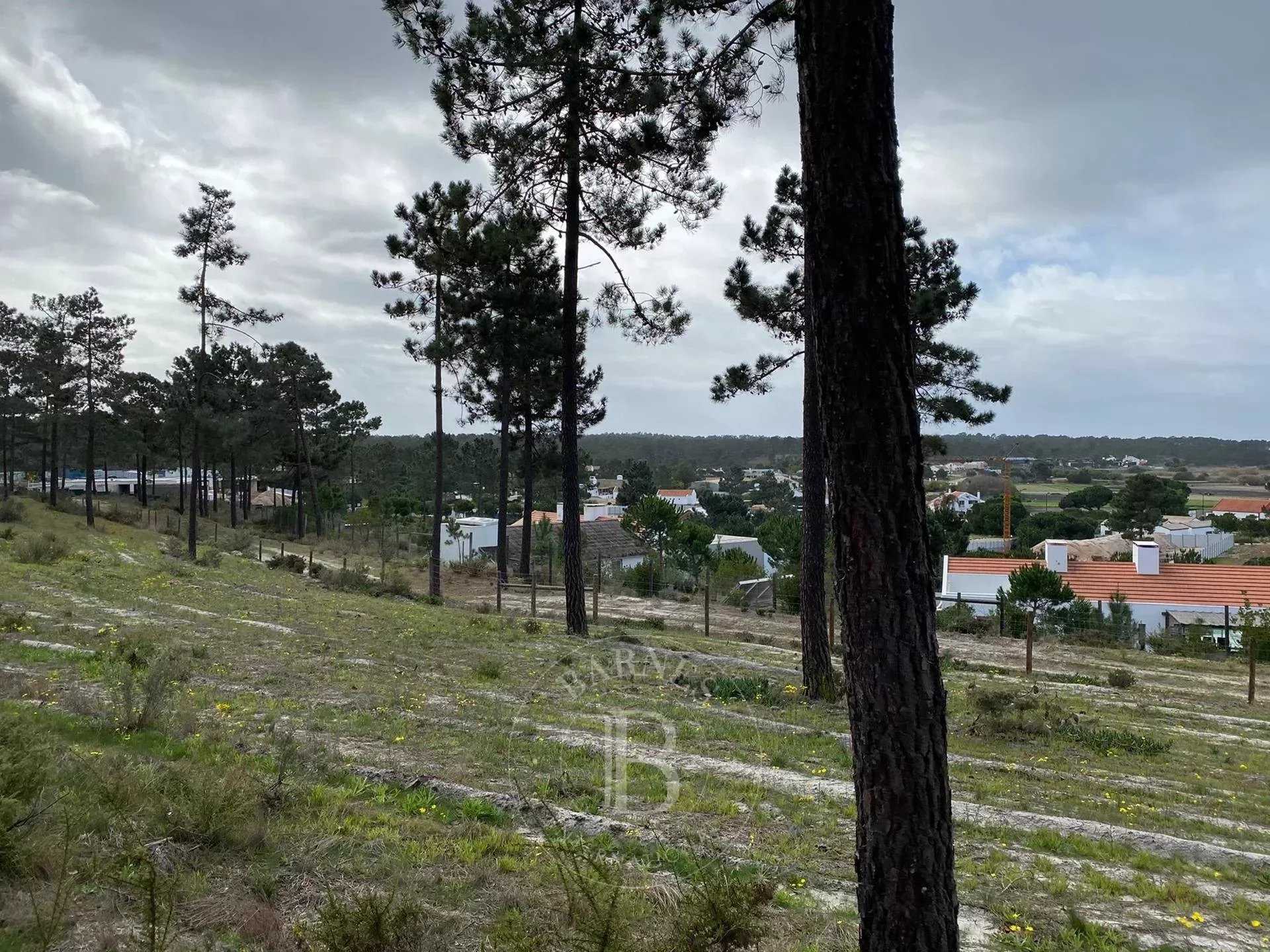 भूमि में कोम्पोर्टा, Setúbal 12641983