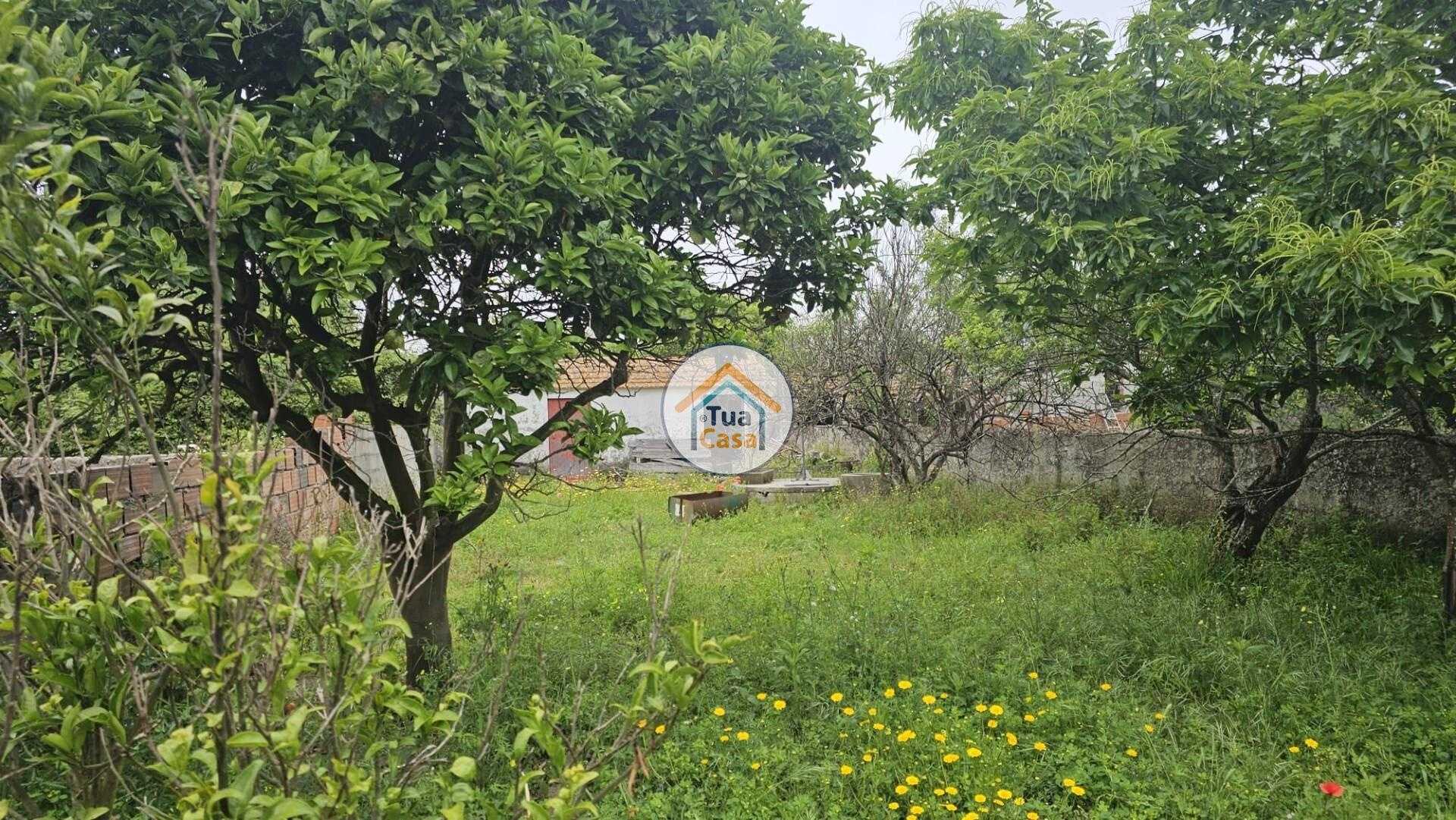Land in Paiao, Coimbra 12645311