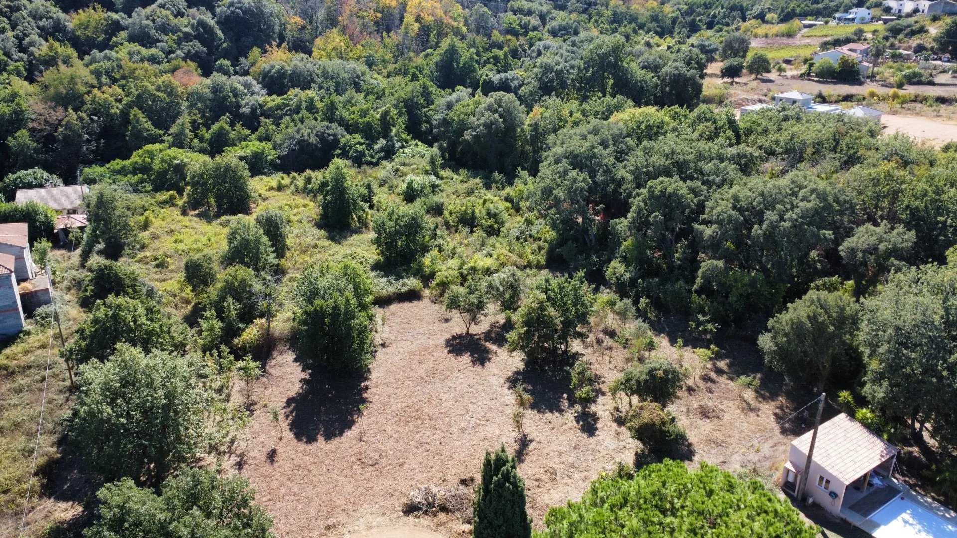 Land in Vescovato, Corsica 12645751