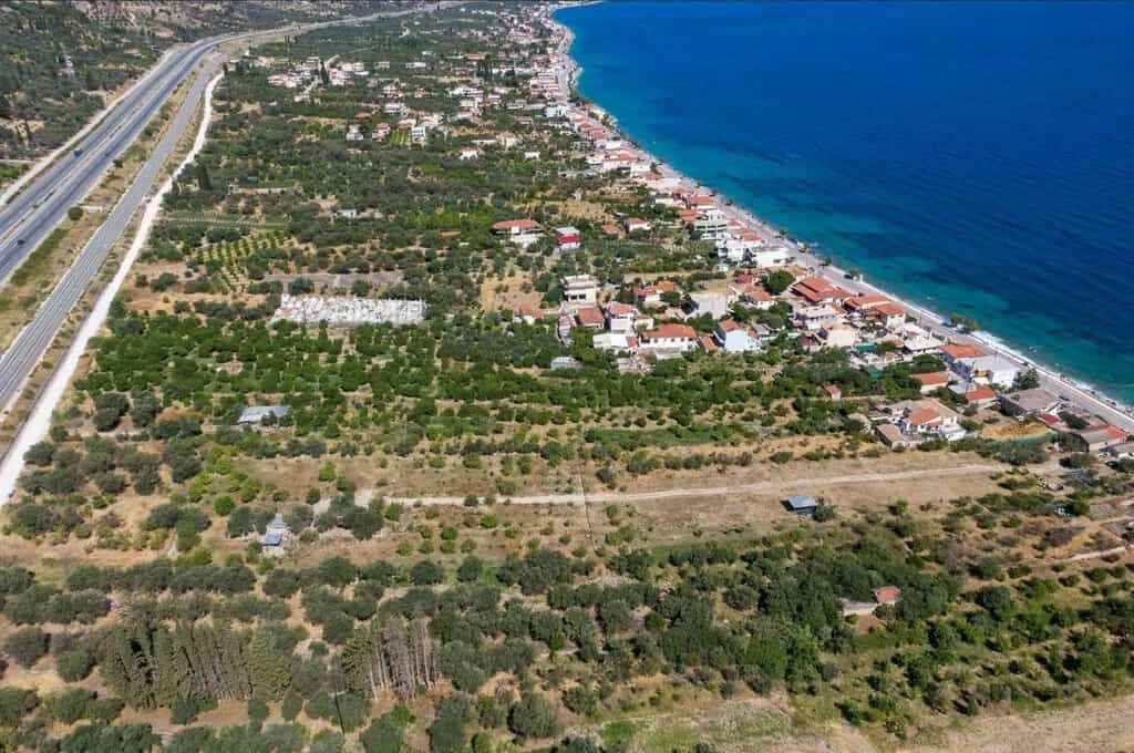 Tanah dalam Sykia, Peloponnisos 12646646
